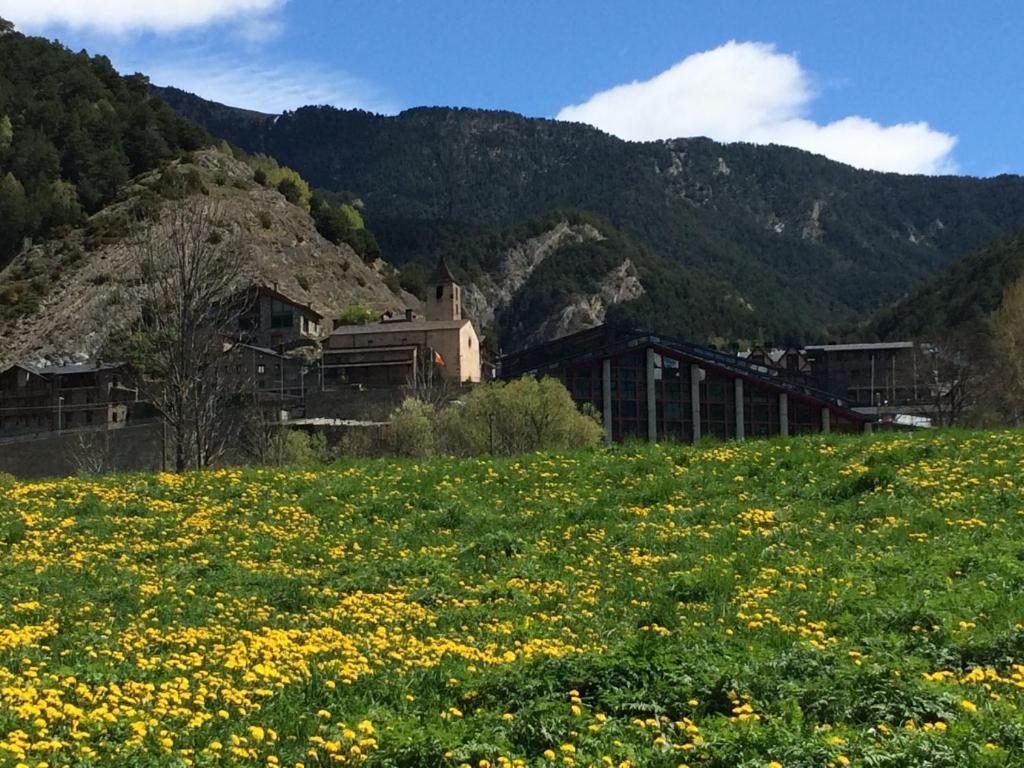 Hotel Ordino Quarto foto